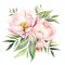 beautiful pastel romantic Peony clipart illustration