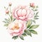 beautiful pastel romantic Peony clipart illustration