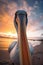 Beautiful pastel skies and serene lake with a single Australian pelican
