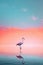 Beautiful pastel skies and serene lake with a single flamingo