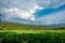 Beautiful pastoral scenery of distant mountains and fields in summer