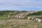 Beautiful pastoral  scenery in spring, with a flock sheep grazing on a pasture by the river