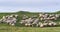 Beautiful pastoral  scenery in spring, with a flock sheep grazing on a pasture by the river