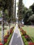 Beautiful path with flowers in Bedugul Ulundanu Park, Bali.