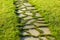 Beautiful pathway in a garden