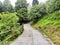 A beautiful pathway in the middle of the mountain at Mussoorie, Uttarakhand