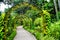 Beautiful pathway under green-covered arches in Singapore Botanic Gardens