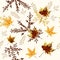 Beautiful pattern or background with maple leafs in autumn