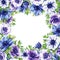 Beautiful pattern with white, blue, purple anemones on a color background