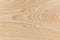 Beautiful patterned Japanese cedar wood texture background