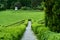 Beautiful paved path in the modern park of tiles and stone with green fences. Without people.