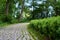 Beautiful paved path in the modern park of tiles and stone with green fences. Without people.