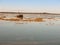 beautiful peaceful harbour scene estuary maldon boat mast reflections