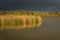 Beautiful peaceful landscape with lake, rushes and marsh plants at the edge of the lake, and dark blue sky on background.