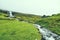 Beautiful peaceful rock house with green grass on the roof in Saksun valley next to the waterfall in foggy weather, Faroe Islands