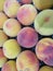 Beautiful peach fruit taste Color Odor Taste