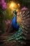 Beautiful peacock on nature background