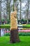 Beautiful peacock statue in Keukenhof park, Lisse, Holland, Netherlands.