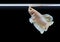 Beautiful pearl color betta fish breathe on the water surface