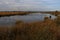 Beautiful peat lake in the Netherlands