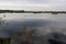 Beautiful peat lake in the Netherlands