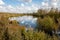 Beautiful peat landscape with the name `Amsterdamsche Veld