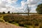 Beautiful peat landscape with the name `Amsterdamsche Veld