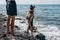 A beautiful pedigreed dog and a man are relaxing in nature on the sea coast. A German shepherd dog plays with its owner on the