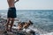 A beautiful pedigreed dog and a man are relaxing in nature on the sea coast. A German shepherd dog plays with its owner on the