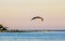 Beautiful pelican bird pelicans birds flying over the sea Mexico