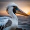 Beautiful pelican side profile - ai generate image