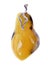 Beautiful pendant of Baltic amber