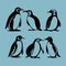 Beautiful Penguin Vector Illustration
