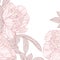 Beautiful peonies line art background