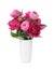Beautiful peonies in vase isolated