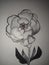 Beautiful peony flower tattoo sketch hand made drawing