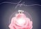 Beautiful perfume bottle pink female perfume and pink rose