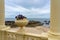 beautiful pergola on Foz promenade in Porto Portugal on seaside