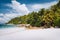 Beautiful Petite Anse beach at Mahe Island, Seychelles. Palm trees and blue sky. Holiday vacation destination