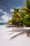 Beautiful Petite Anse beach at Mahe Island, Seychelles. Palm trees and blue sky. Holiday vacation destination