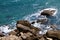 Beautiful petrous bright blue sea beach with large stones on a summer day, photo of nature