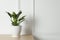 Beautiful philodendron plant in pot on wooden table indoors, space for text. House decor