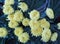 Beautiful photo awesome flowers bouquet. Awesome yellow   hrysanthemum