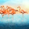 Beautiful photo manipulation of red flamingo at left side