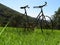 Beautiful photo of a rusty old bicycle and abused