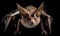 A beautiful photograph of Cuban Greater Funnel-eared Bat