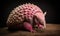 A beautiful photograph of The Pink Fairy Armadillo