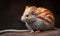 A beautiful photograph of The Red Crested Tree Rat