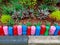 Beautiful photos of a minimalist garden with a second-hand fence.