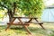 Beautiful picnic area with wooden table in sunny autumn garden. Resting place on park. Picknick place in summer Orchard. Wooden pi